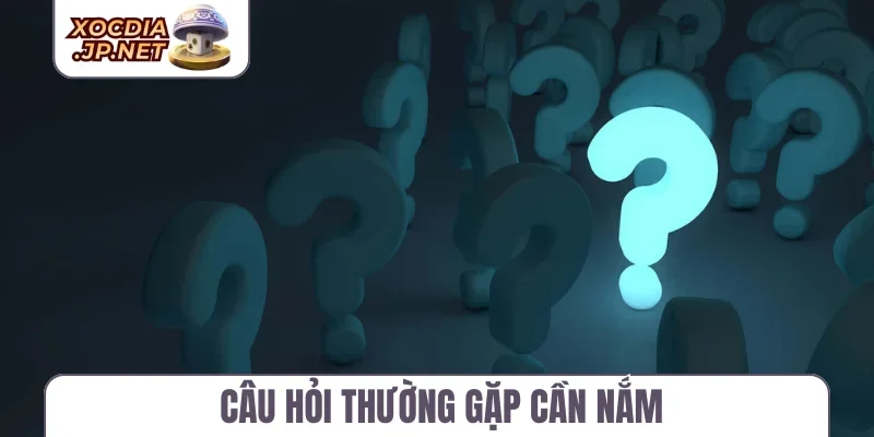 Câu hỏi thường gặp cần nắm