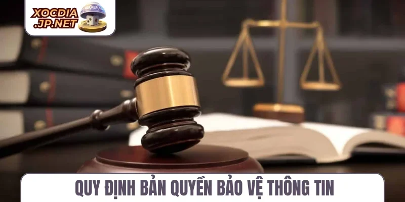 Quy định bản quyền bảo vệ thông tin